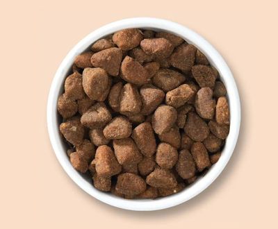 CatIt Adult Chicken & turkey 400g