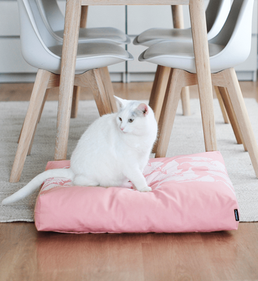 PADI modern catbed rose