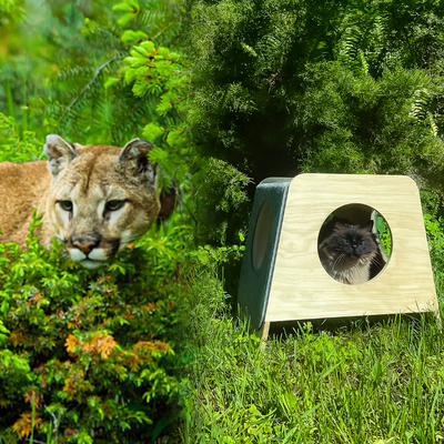 MIKASTE MIKS Cat Hideout