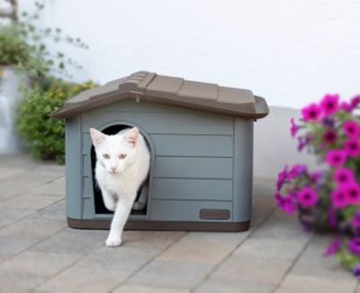 ECO Katthus Paola