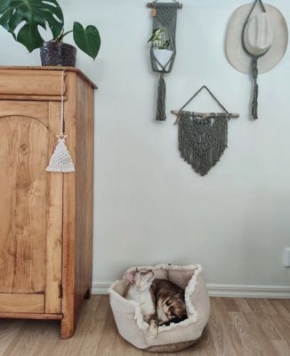 Boho kattsäng med kant