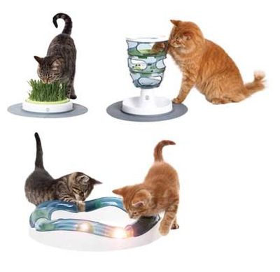 CatIt Senses Grass Garden
