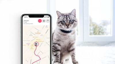 Tractive GPS för Katt