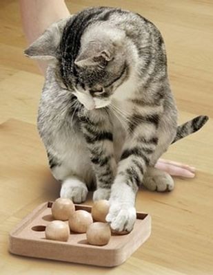 Kitty Brain Train BocciaGame i trä