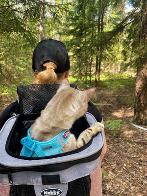 Ryggsäck Plata för katt och hund (vinröd)