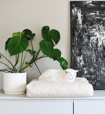 PADI modern catbed beige
