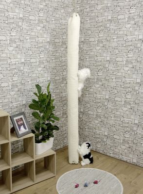 Cat scratching climber