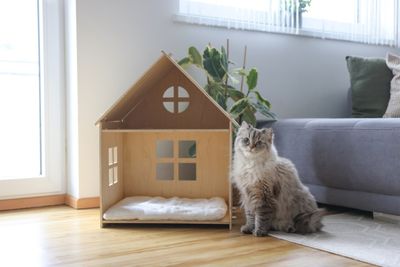 Katthus Yvi trämöbel