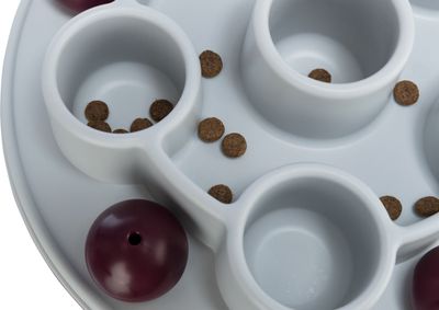 Cat Activity Pentagon