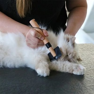 Kvalitétspaket pälsvård katt