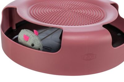Cat Activity Catch The Mouse Berry