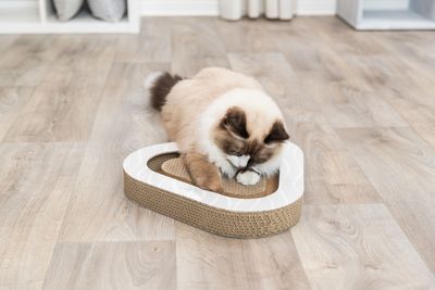 Klösbräda cardboard ljusgrå/randig