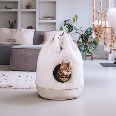 Kattgömma District 70 CASA Teddy Cream