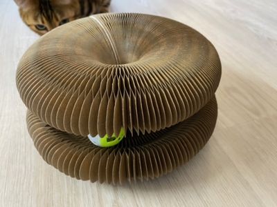 Kattleksak bollbana 1 Companion