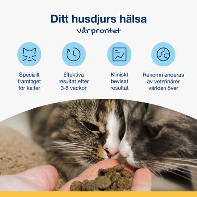 Plaque Off dental bites Katt