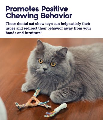 Petstages dental health chews