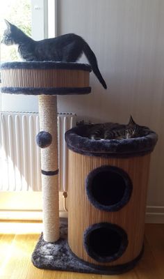 Klösmöbel Bamboo ljusgrå