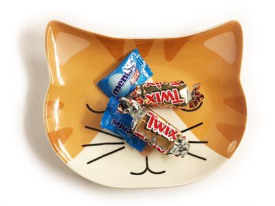 Kattfat Katten Ginger