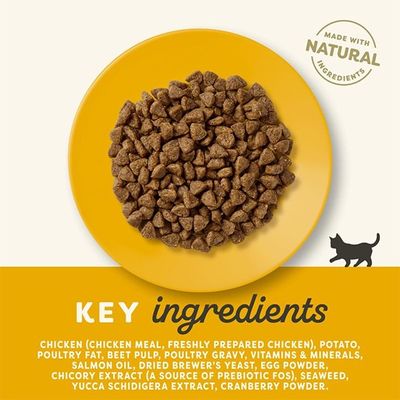 Applaws kitten 2 kg