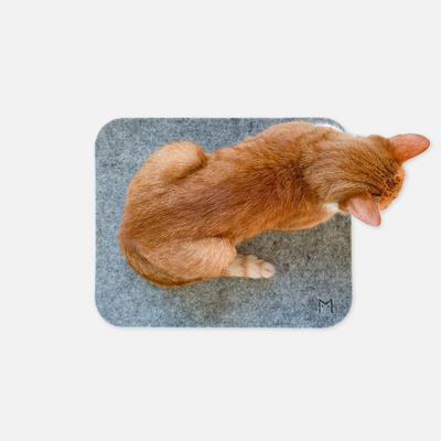 MIKASTE MIKS  Kattdyna