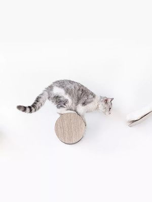 Klättersteg Horizon 1530 XL Grey 2-pack