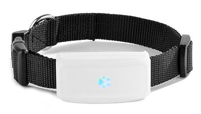 GPS för katt och hund mini TK-911