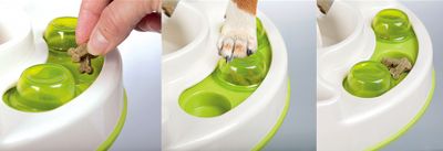 Cat activity Slide & Feed