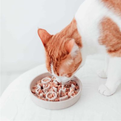 Slow Feeder District 70 maräng