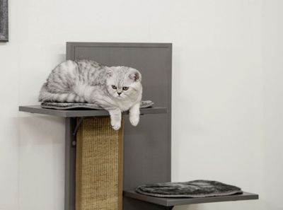 ECO Cat Playhouse Alex