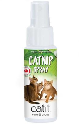 CatIt kattmynta spray