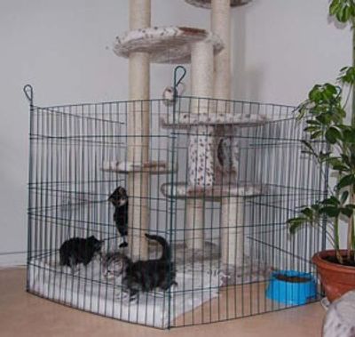 Kattungehage 6 delar