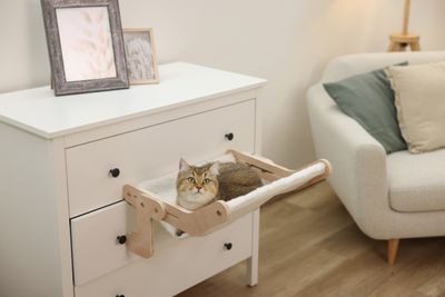 Kattsäng hammock trä