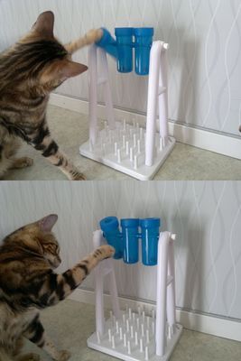 Cat Activity Turn Around