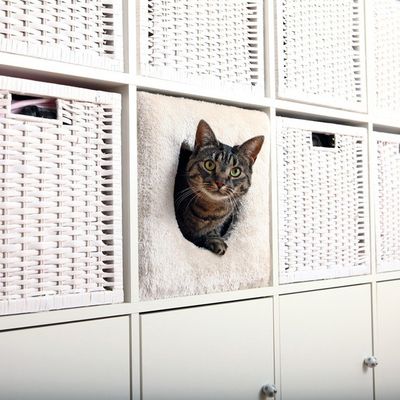Cat cave (passar Expedit och Kallax)