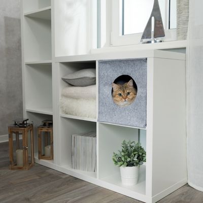 Cat cave Anton grå (passar Expedit och Kallax)