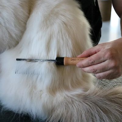 Kvalitétspaket pälsvård katt