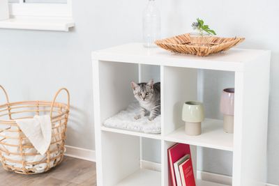 Harvey liten dyna (passar Expedit och Kallax)
