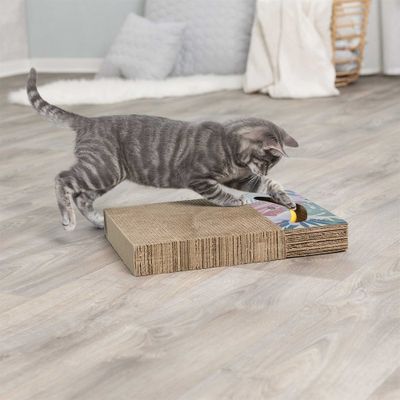 Klösbräda cardboard med bollar