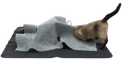 Cat Activity Adventure Carpet
