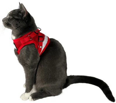 Travelcat kattsele med koppel Röd