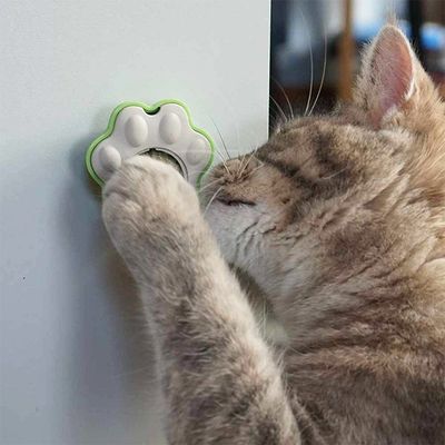 Catnip ball Paw