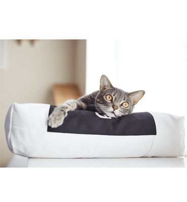 PADI modern catbed vit