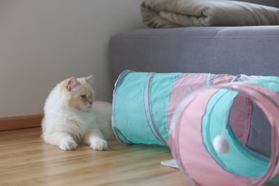 Kattleksak kattunnel Triangel 80 cm
