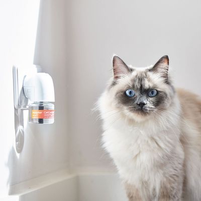 CatComfort Diffuser Doftavgivare