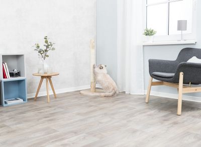 Klösstolpe naturträ