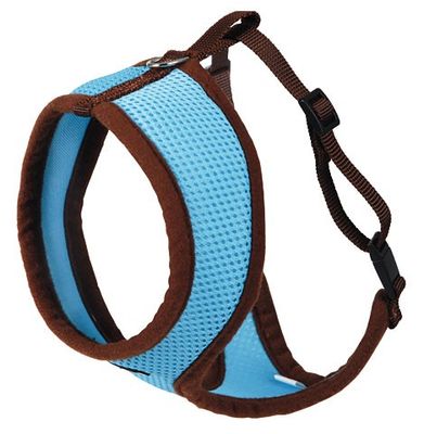Active Harness blå, med koppel