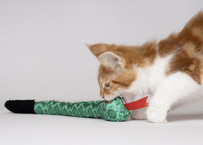 Brottningsleksak Sisso Snake