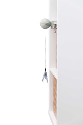Kattleksak Catch-It