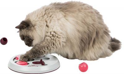 Cat Activity Flip Board