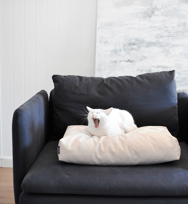 PADI modern catbed beige